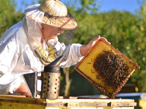 Beekeeper reviews. Things To Know About Beekeeper reviews. 